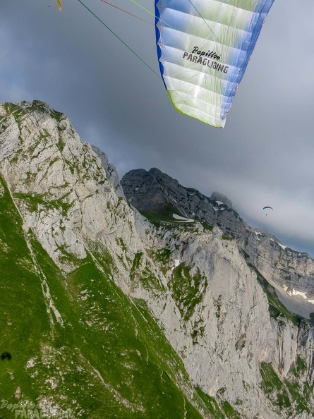 Annecy Papillon-Paragliding-491