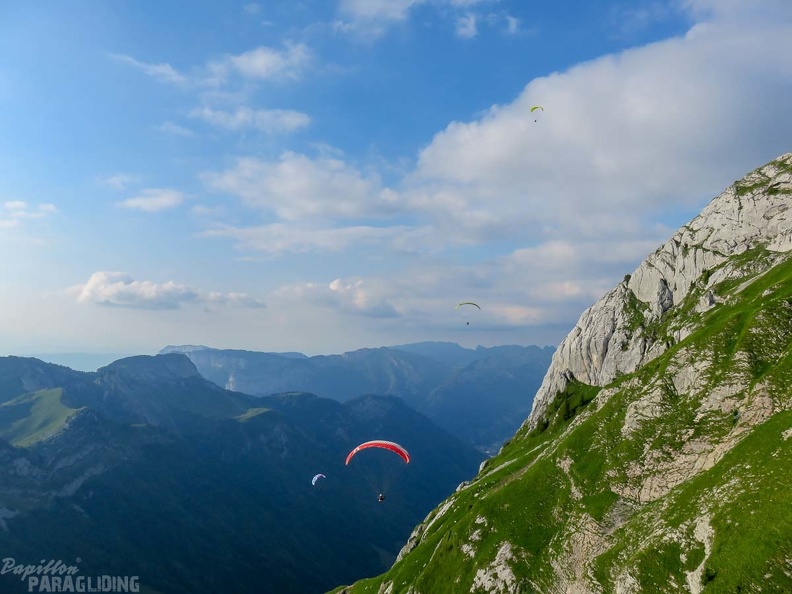 Annecy Papillon-Paragliding-525
