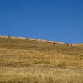 2011 Castelluccio Gleitschirm 119