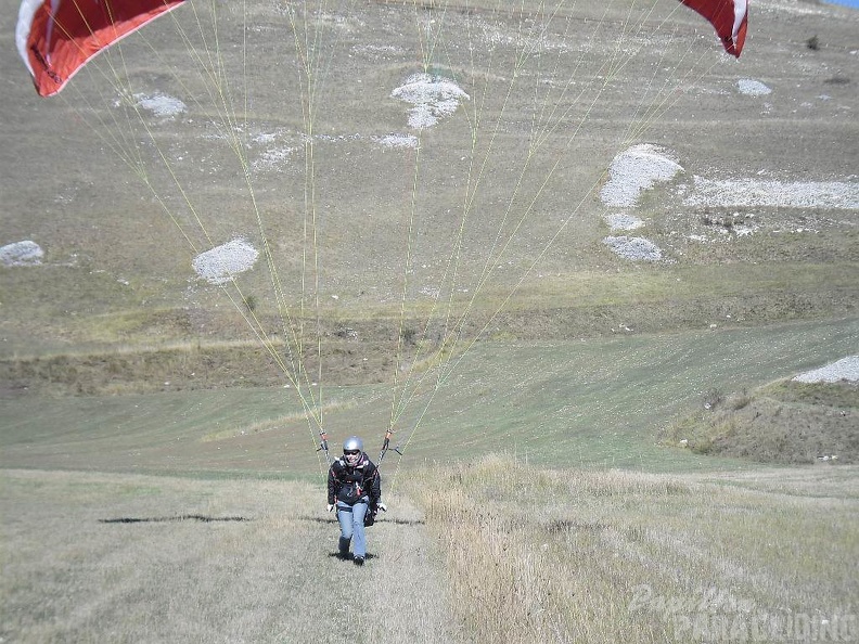 2011 Castelluccio Gleitschirm 180