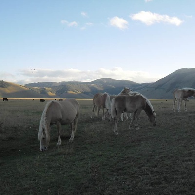 Castelluccio