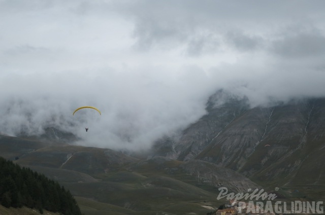 IMG 4504