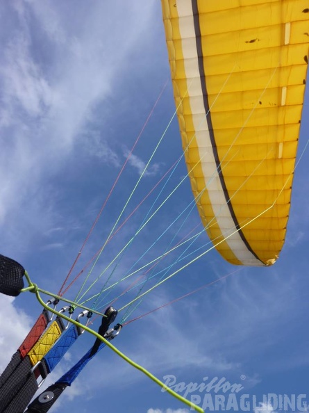 2011 Dune du Pyla Paragliding 022