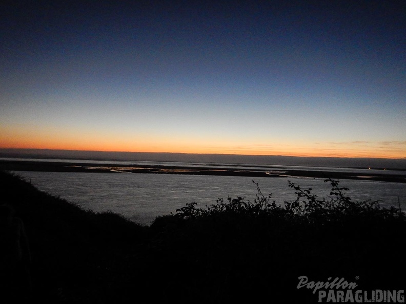 Papillon Dune du Pyla-2016-1013