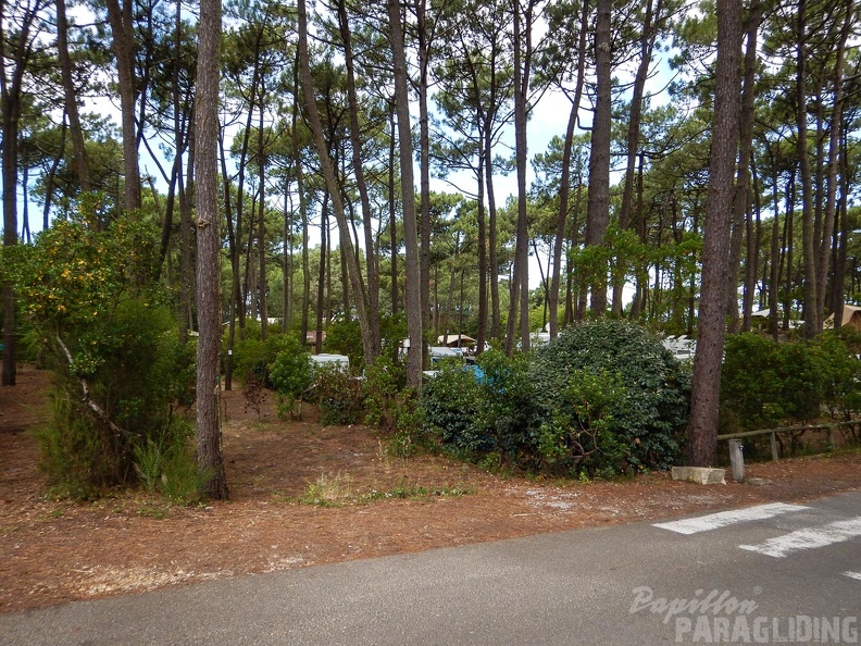 Papillon Dune du Pyla-2016-1016