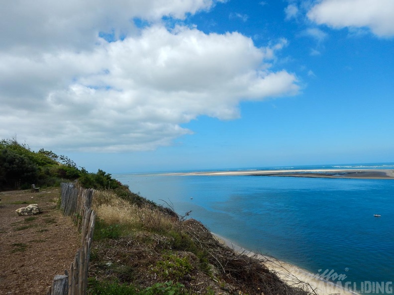 Papillon Dune du Pyla-2016-1019