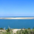 Papillon Dune du Pyla-2016-1052