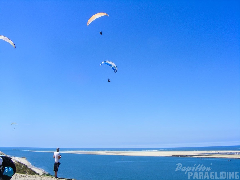 Papillon Dune du Pyla-2016-1061