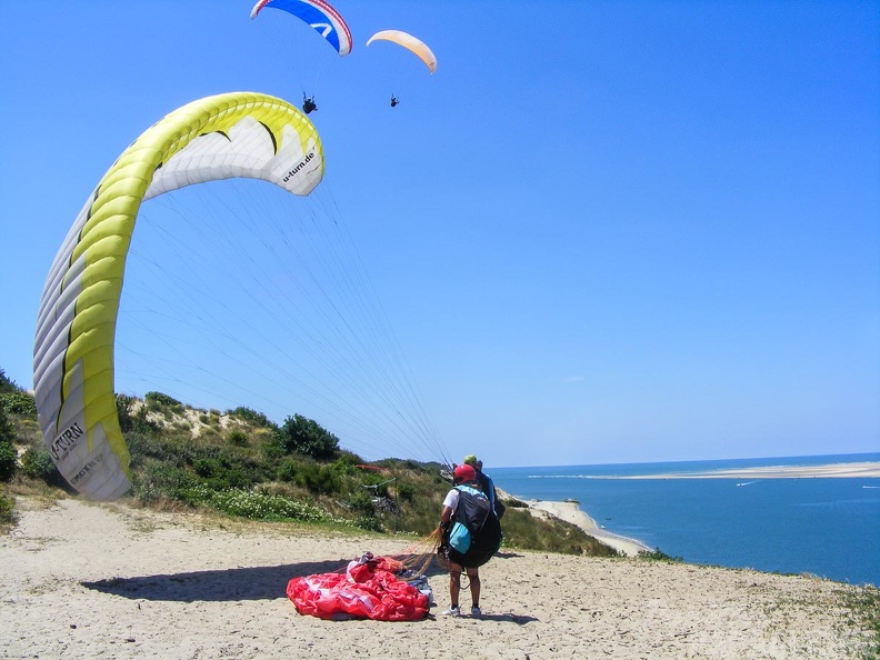 Papillon Dune du Pyla-2016-1064