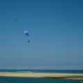 Papillon Dune du Pyla-2016-1067