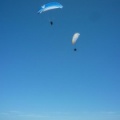 Papillon Dune du Pyla-2016-1069