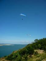 Papillon Dune du Pyla-2016-1070