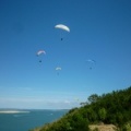 Papillon Dune du Pyla-2016-1072