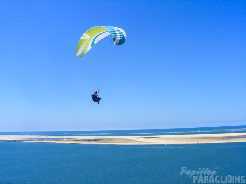 Papillon_Dune_du_Pyla-2016-1082.jpg