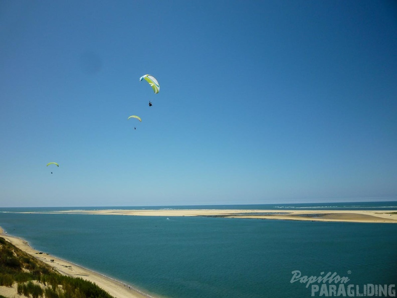 Papillon_Dune_du_Pyla-2016-1088.jpg