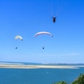 Papillon Dune du Pyla-2016-1103