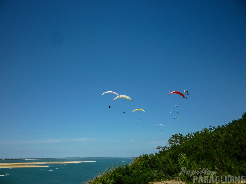 Papillon Dune du Pyla-2016-1106