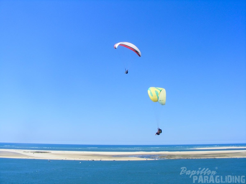 Papillon_Dune_du_Pyla-2016-1110.jpg