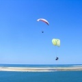 Papillon Dune du Pyla-2016-1110