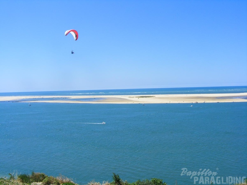 Papillon Dune du Pyla-2016-1111