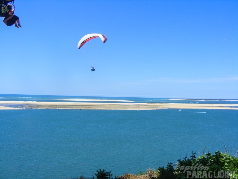 Papillon_Dune_du_Pyla-2016-1114.jpg