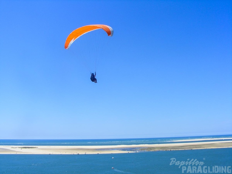 Papillon_Dune_du_Pyla-2016-1118.jpg