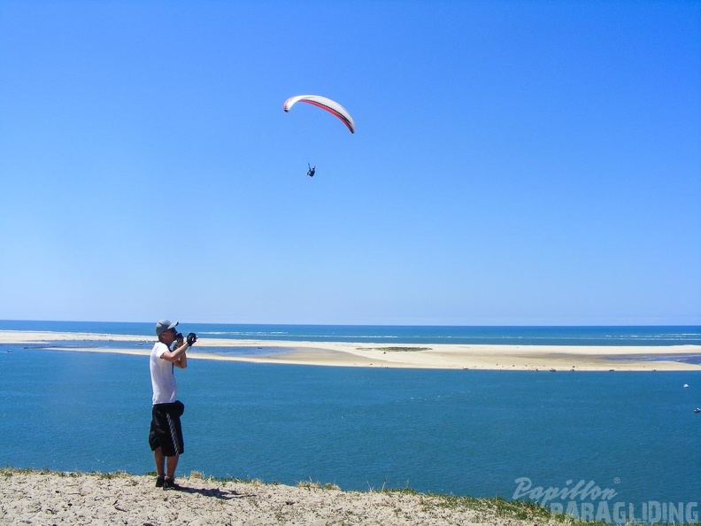 Papillon Dune du Pyla-2016-1122