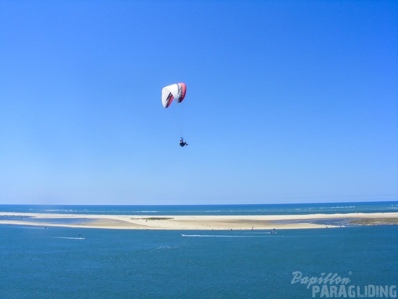 Papillon Dune du Pyla-2016-1131