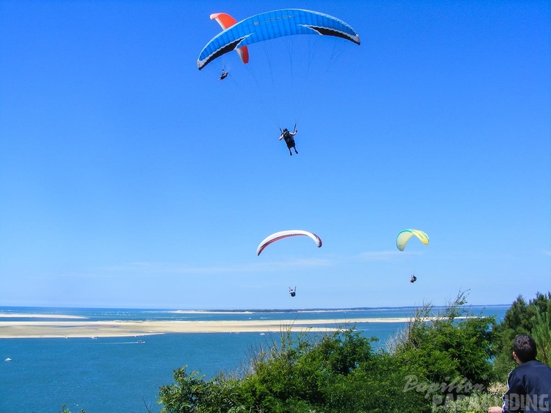 Papillon Dune du Pyla-2016-1133