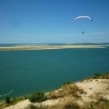 Papillon Dune du Pyla-2016-1140