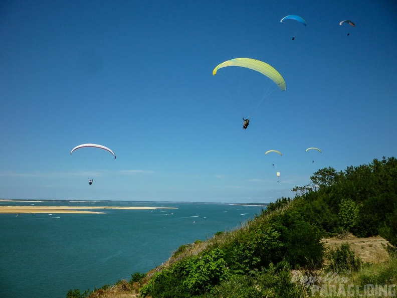 Papillon Dune du Pyla-2016-1141