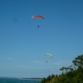 Papillon Dune du Pyla-2016-1147