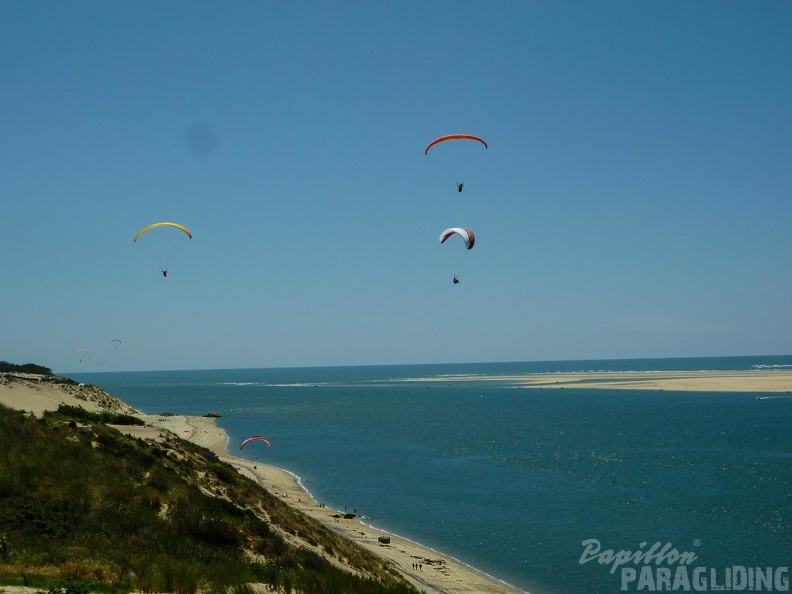 Papillon Dune du Pyla-2016-1156