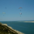 Papillon Dune du Pyla-2016-1156