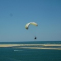 Papillon Dune du Pyla-2016-1164