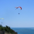 Papillon Dune du Pyla-2016-1169