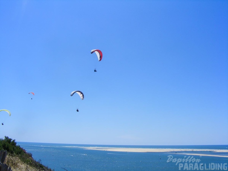 Papillon Dune du Pyla-2016-1170