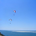 Papillon Dune du Pyla-2016-1170