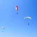 Papillon Dune du Pyla-2016-1171