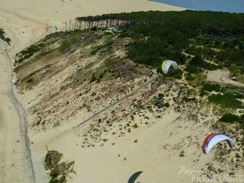 Papillon_Dune_du_Pyla-2016-1178.jpg