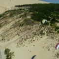 Papillon Dune du Pyla-2016-1178