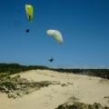 Papillon Dune du Pyla-2016-1185