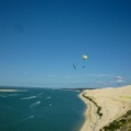 Papillon Dune du Pyla-2016-1191