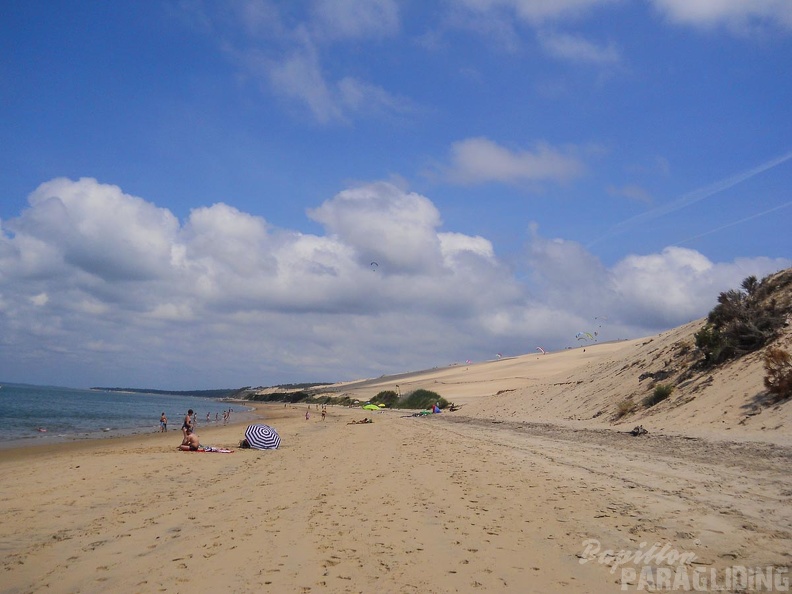 Papillon_Dune_du_Pyla-2016-1211.jpg