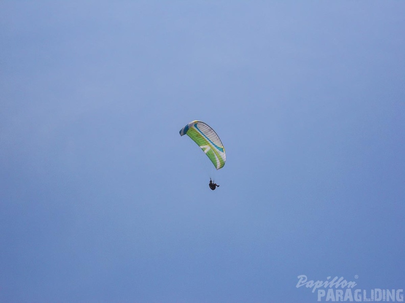 Papillon_Dune_du_Pyla-2016-1217.jpg