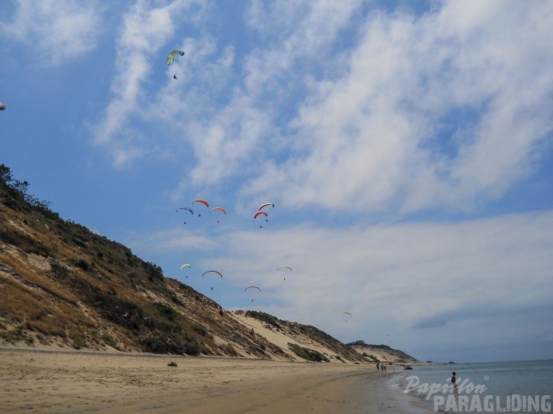 Papillon Dune du Pyla-2016-1227