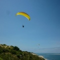 Papillon Dune du Pyla-2016-1231