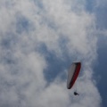 Papillon Dune du Pyla-2016-1237