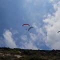 Papillon Dune du Pyla-2016-1241