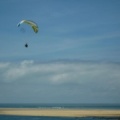 Papillon Dune du Pyla-2016-1245